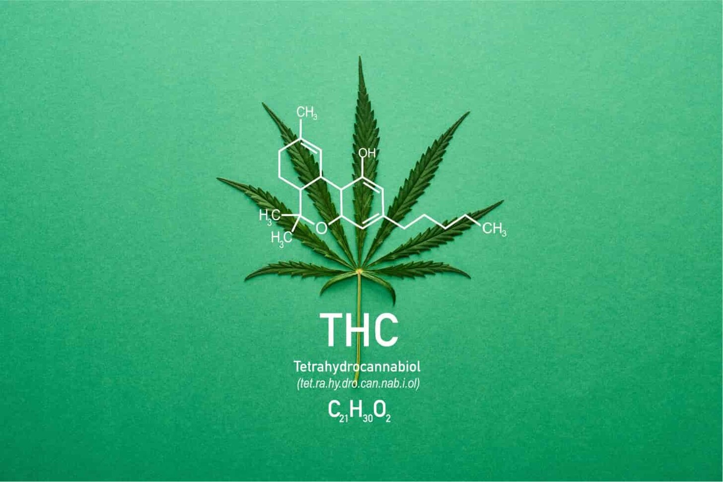 Microdosing THC Explained Benefits & Safe Practices